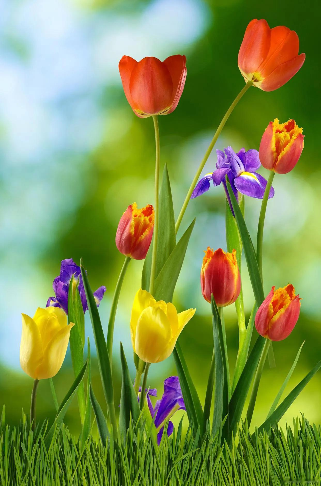 人活在这个世界上，真的不容易。你若不坚强，谁替你勇敢？在人生的路上，我们都在奔跑