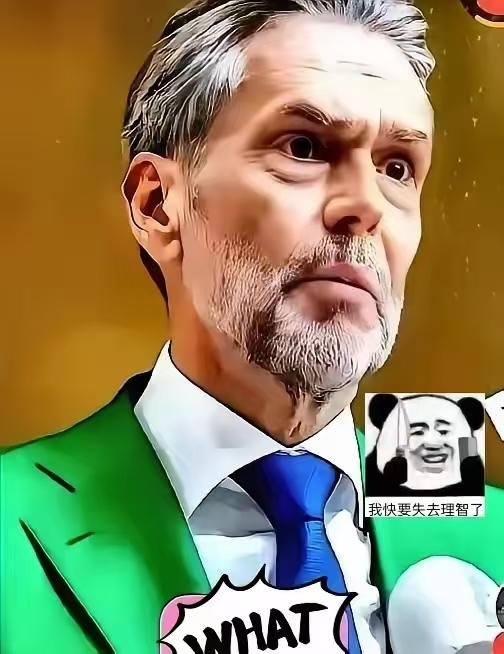 都以为稀土管制能按住荷兰

没想到荷兰那边反手就把中低端DUV光刻机给禁了，连老