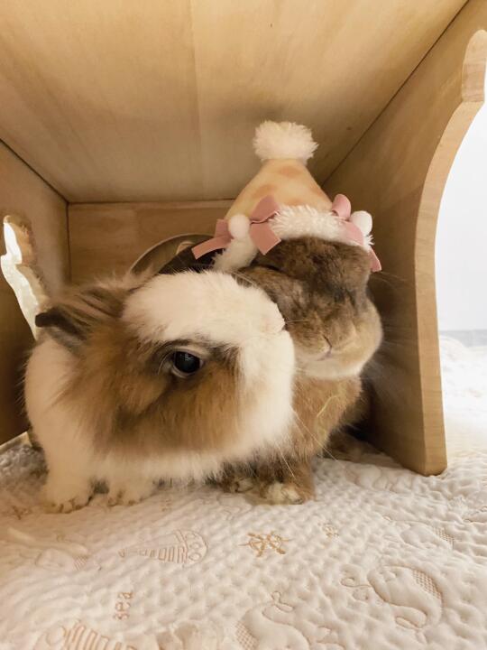 情侣日记