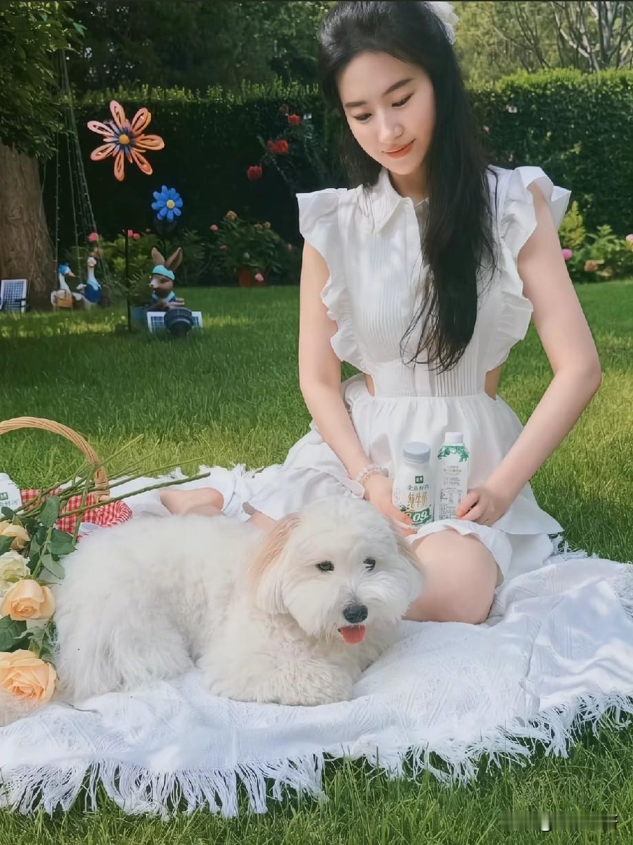 刘亦菲户外草坪广告大片释出！白裙搭配萌犬，氛围感直接拉满
 
刘亦菲最新品牌广告