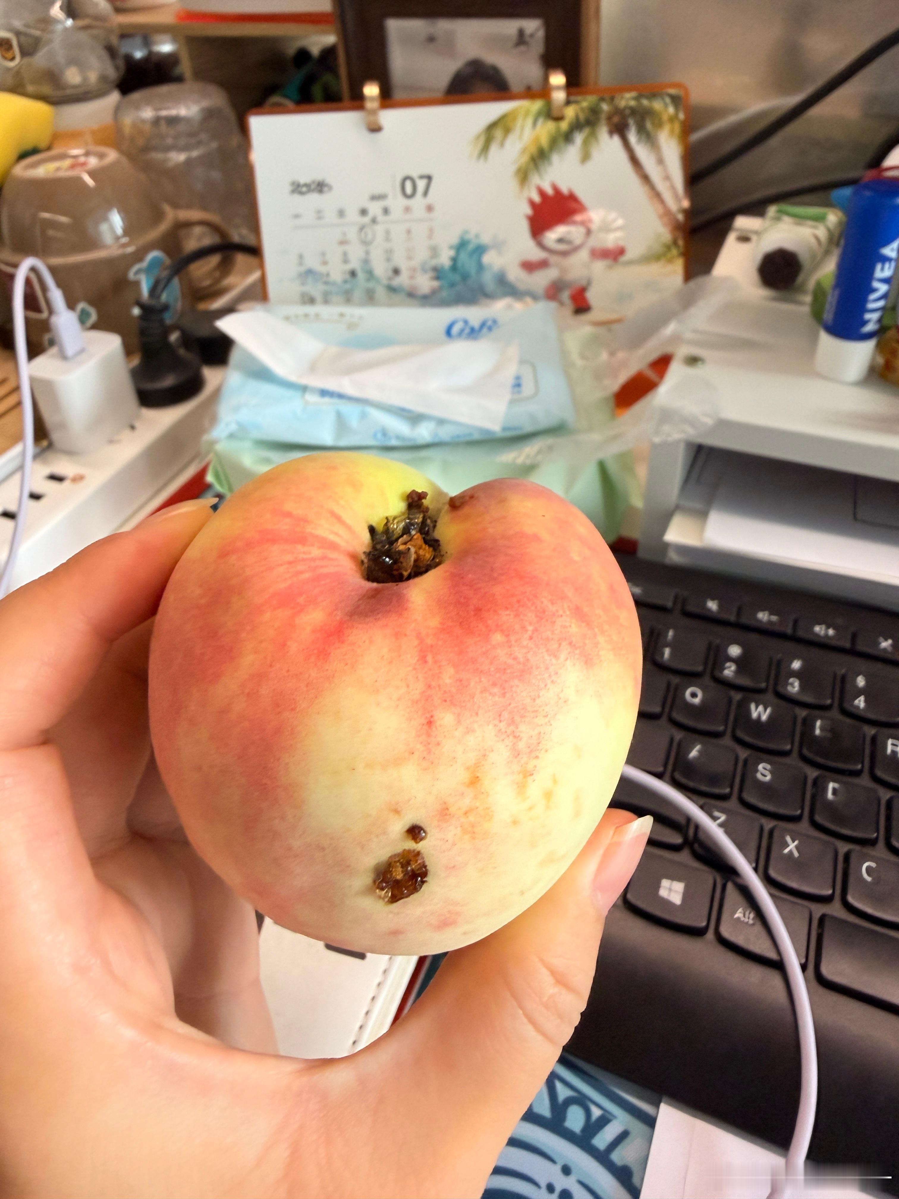 我和我的美食搭子我有一个带虫的桃子🍑🐛你有吗用镜头顺手记录生活