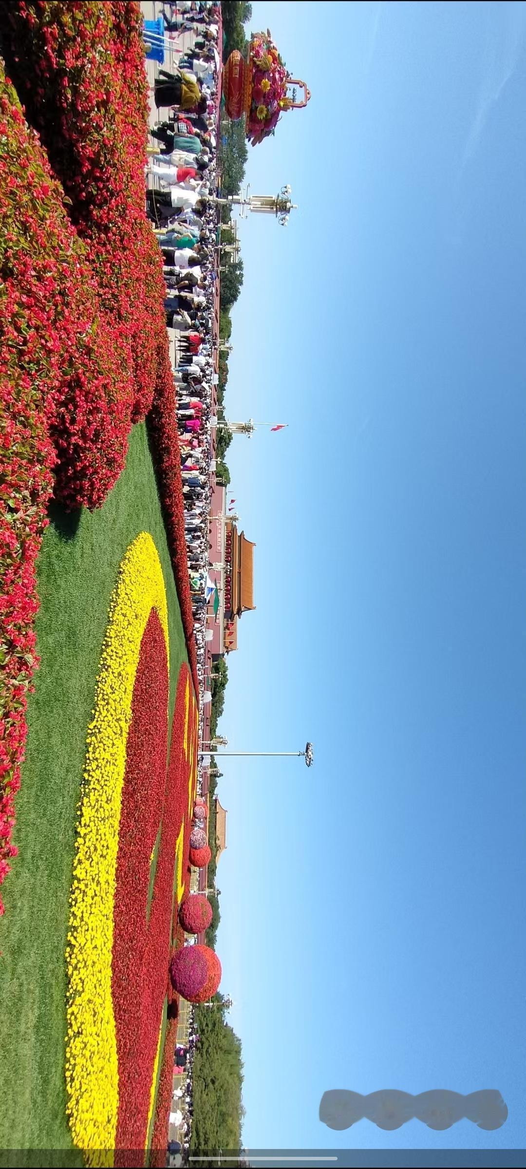 花海人潮，美不胜收！🌸🌸🌸