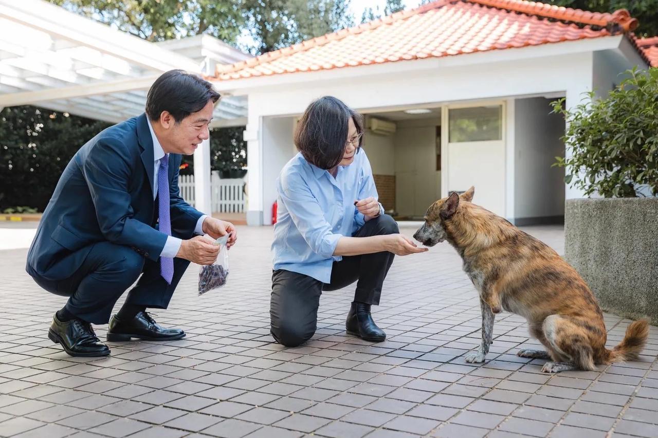接下来的一周，台海将迎来新一轮的紧张态势。
蔡英文10月12日将窜访捷克，并于1