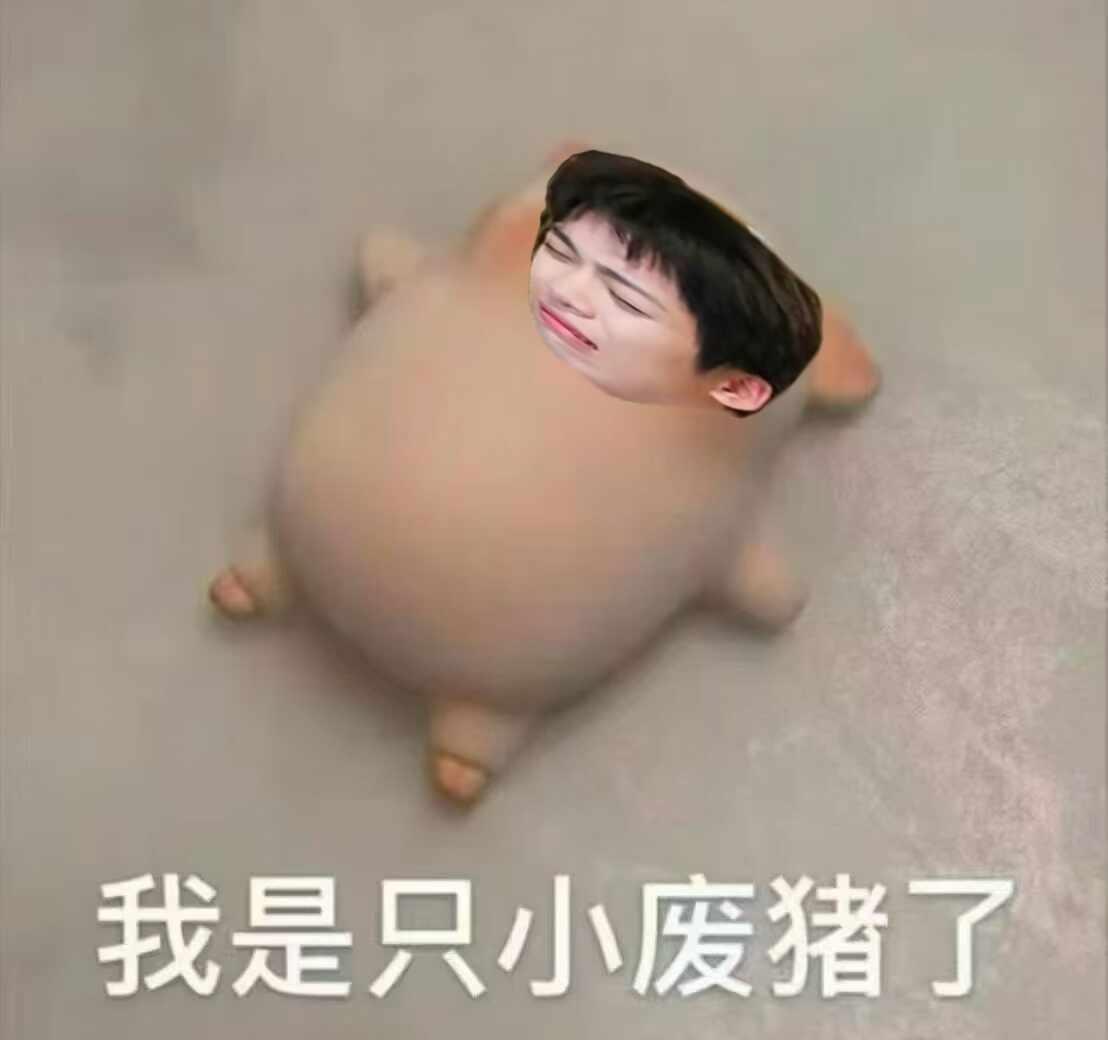 两只小乐乐
没有tag lp 萌 给你俩窝窝 果然是小猪