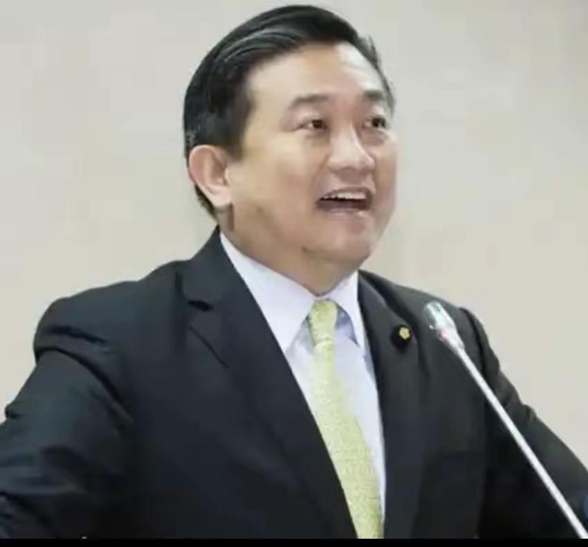 王定宇是真敢搞！81岁的高安国将军喊两岸统一，他就盯着举报，结果老将军真被判刑7