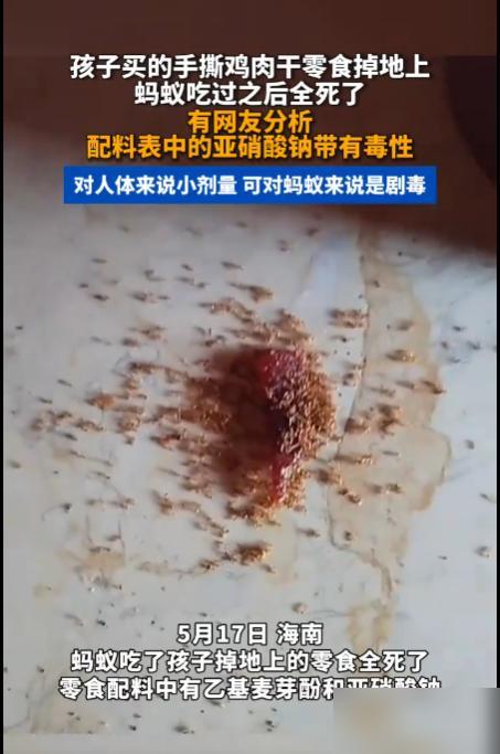 海南，孩子手撕肉干掉地上，结果十几只蚂蚁吃完当场暴毙，家长仔细看配料表：乙基麦芽