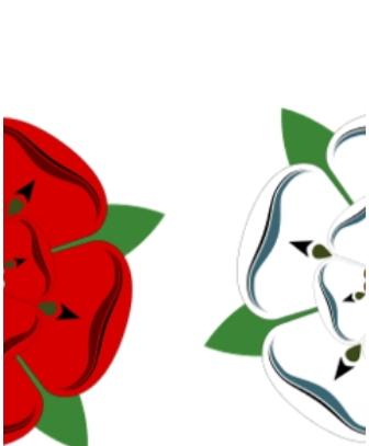 韦克菲尔德战役
在英格兰历史的长河中，玫瑰战争是一段血雨腥风、纷争不断的岁月，而