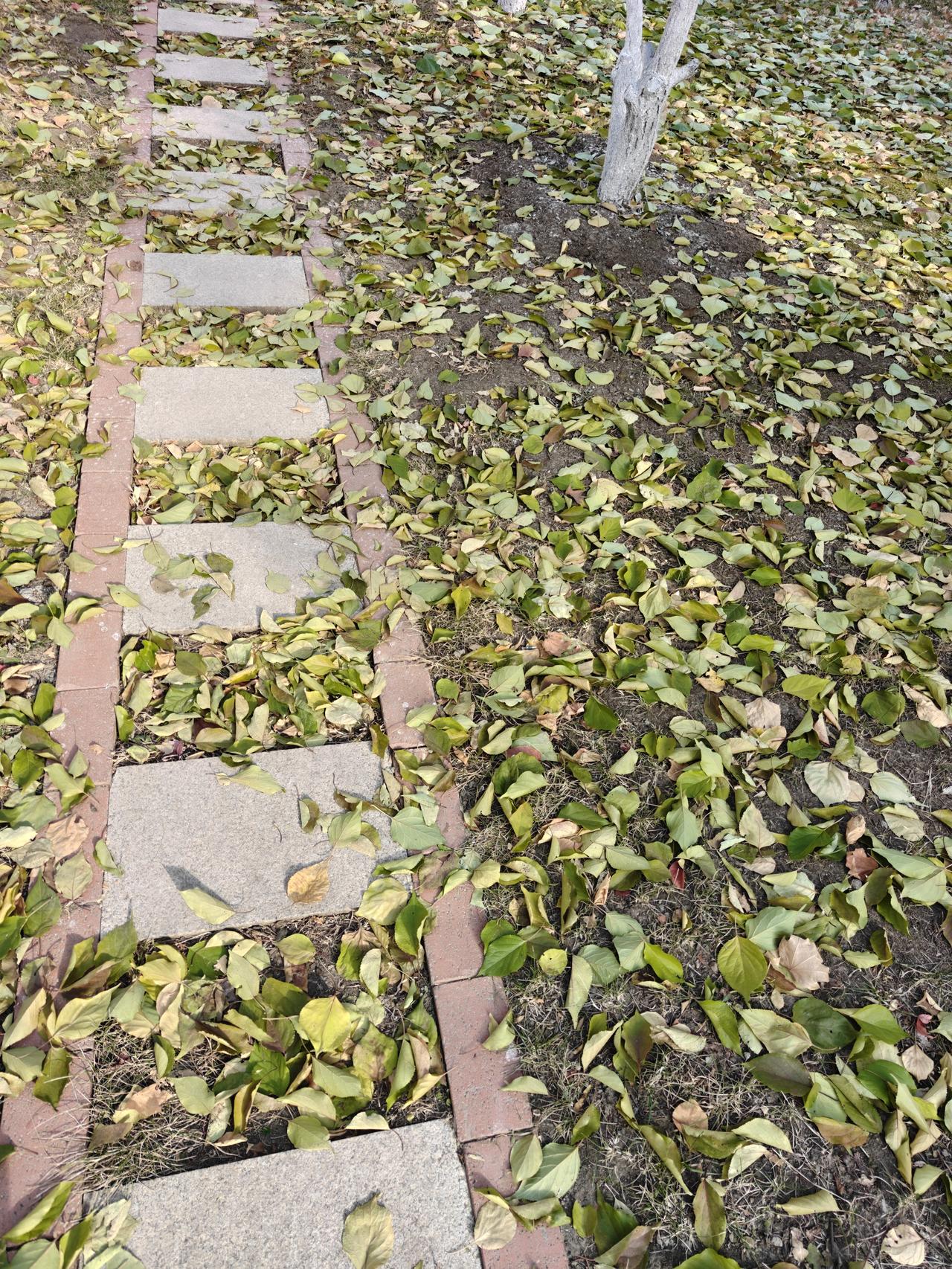 今天上午去超市，一推开超市的门，我就知道了今天是星期二。因为，满超市乌央乌央的，