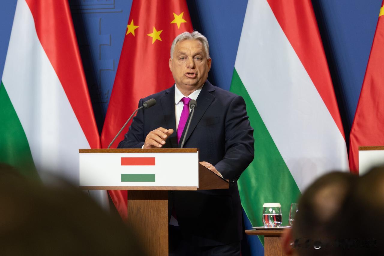 欧尔班在1月24日的集会上说这番话，核心想表达三层意思：
1. 资金不是救命稻草