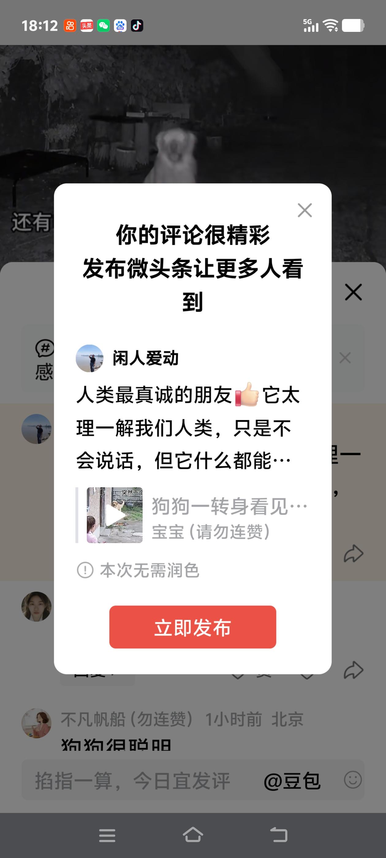 人类最真诚的朋友[赞]它太理一解我们人类，只是不会说话，但它什么都能听懂[赞]