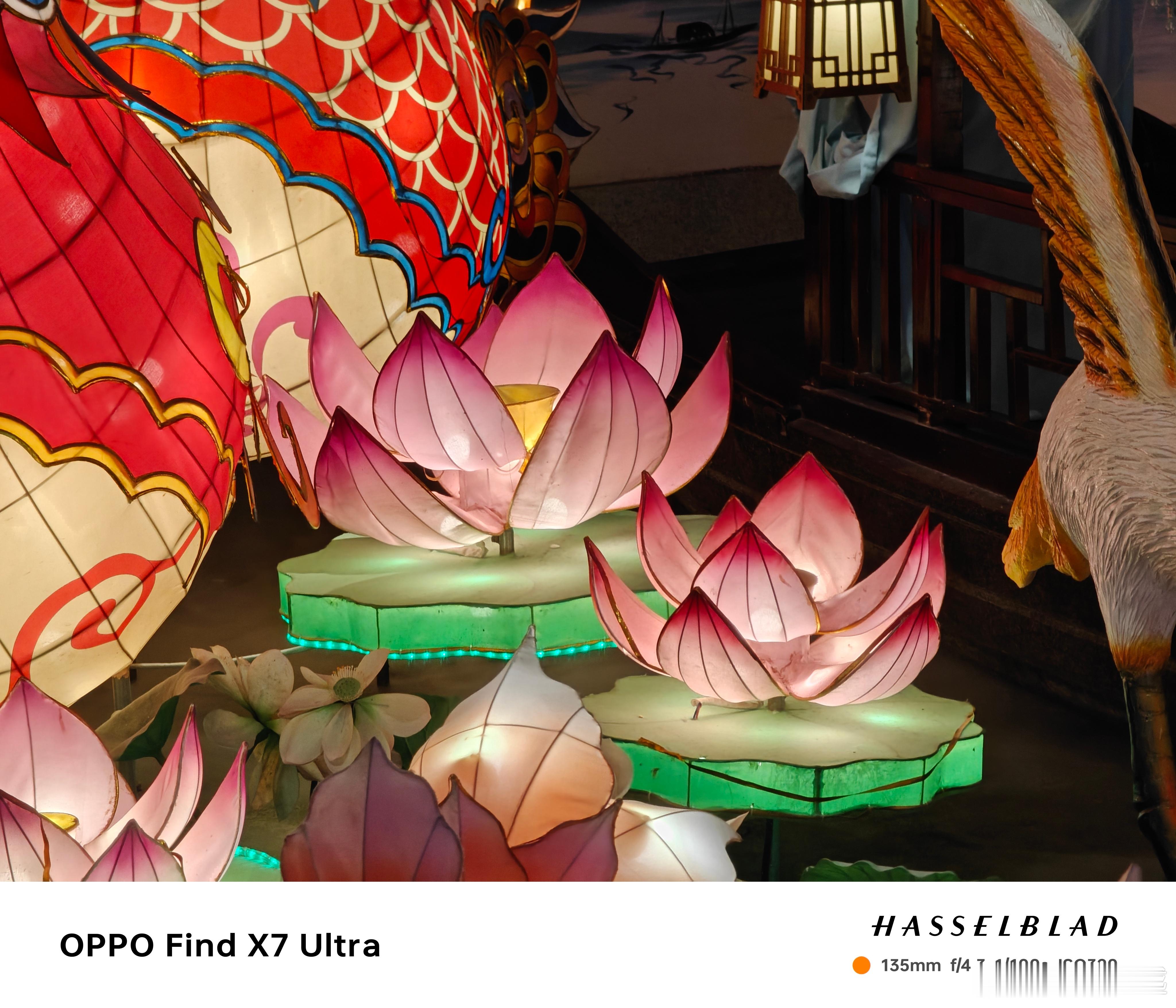 用OPPO Find X7系列的三倍变焦，祝大家元宵节快乐！拍照是真的不错[馋嘴