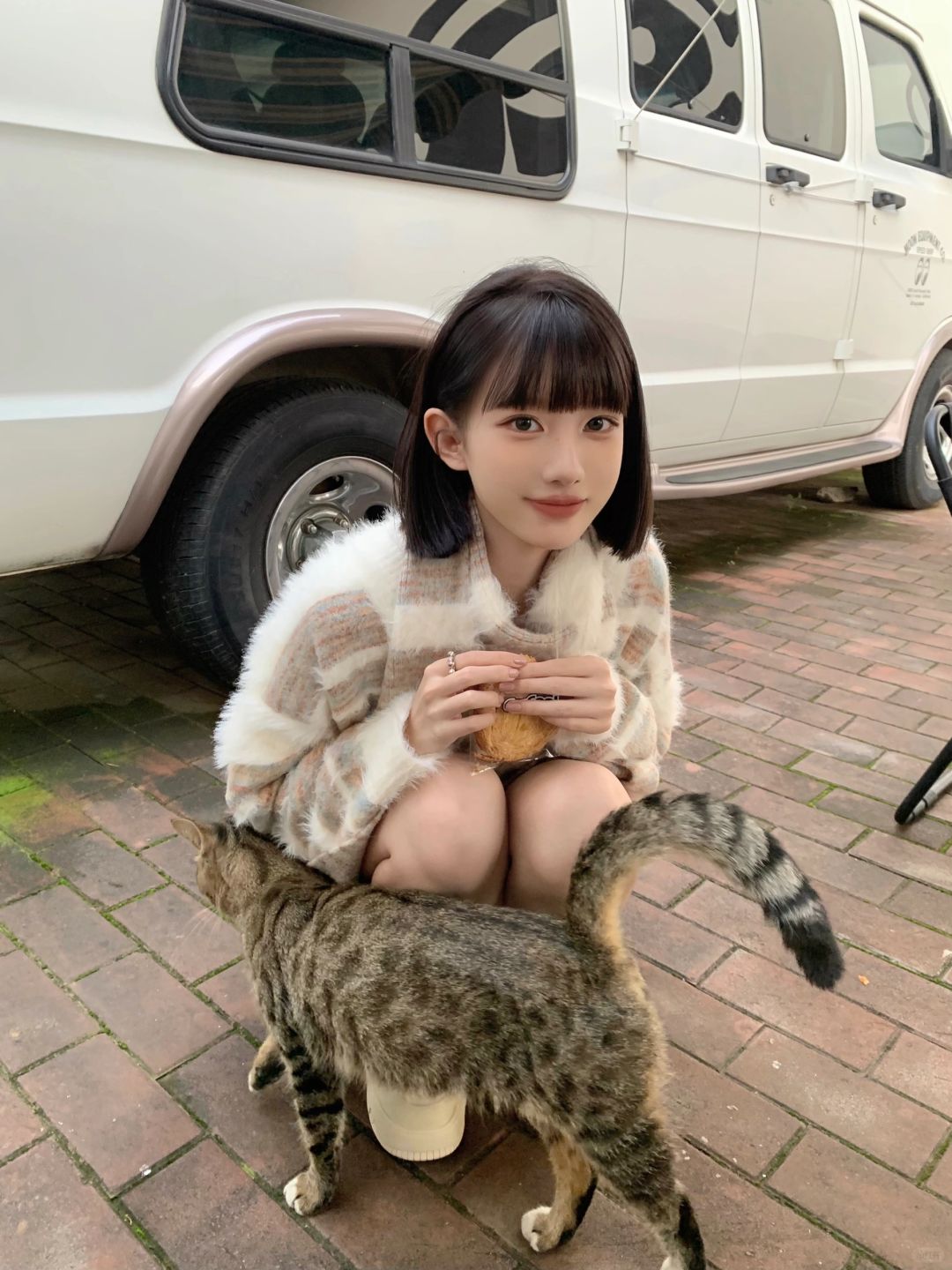 🐈‍