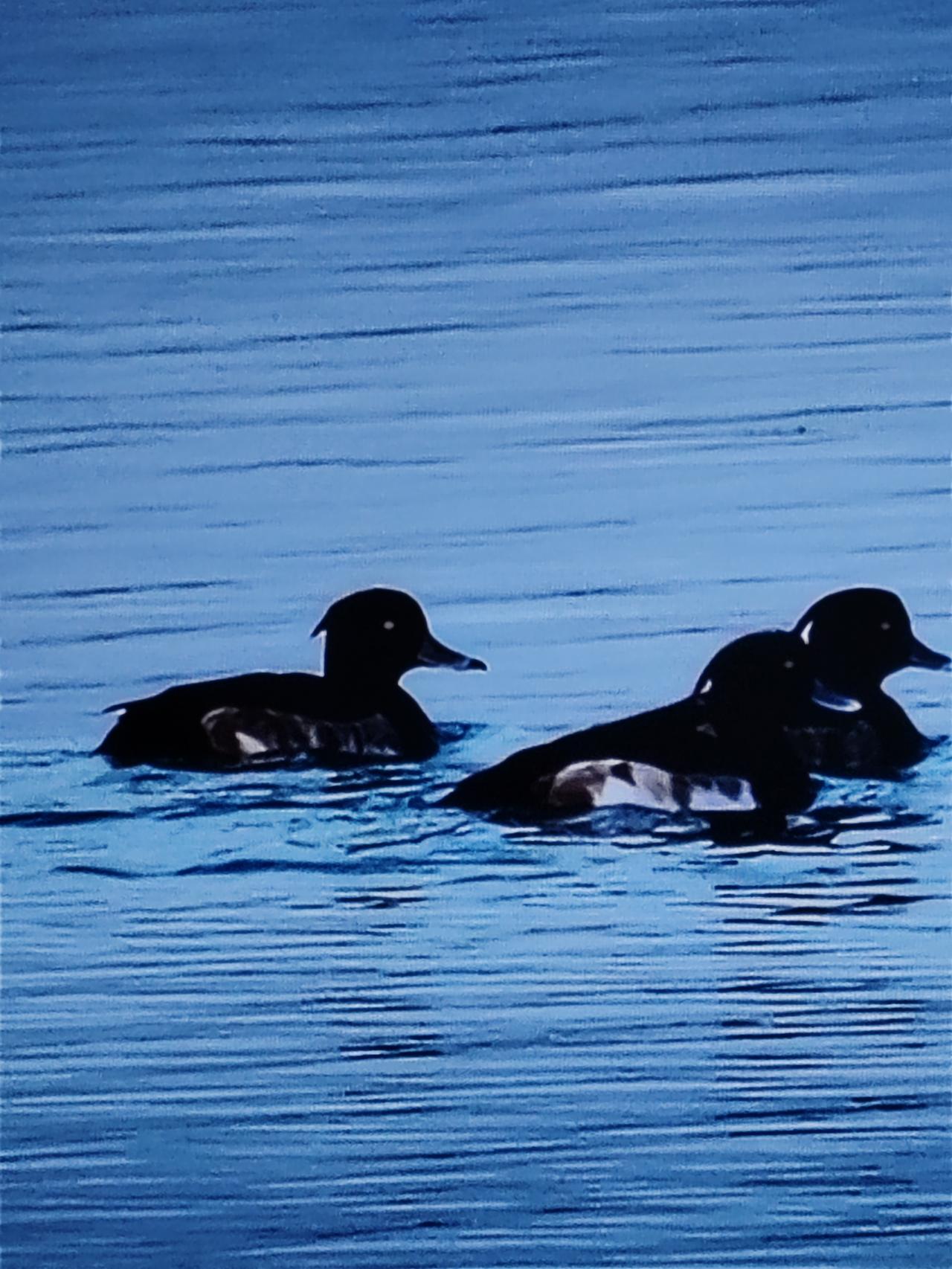 孩子若平庸，便让其承欢膝下；孩子若优秀，就助他展翅高飞。这方是正常家长应有的思维