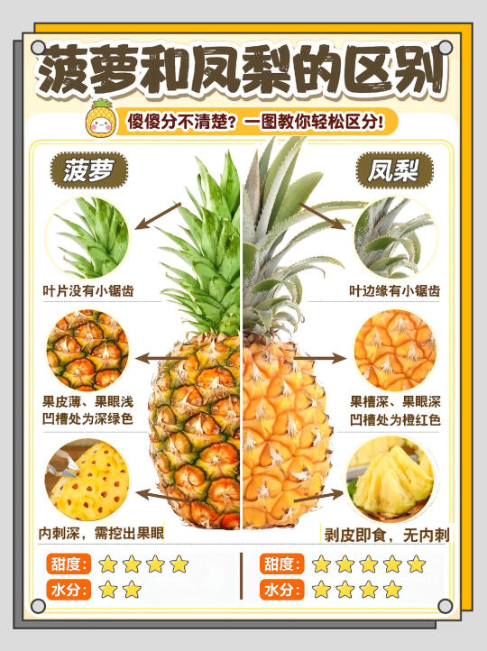 菠萝🍍 还是凤梨🍍 ？别再傻傻分不清啦！