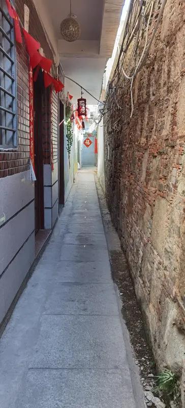 这首《七绝•飞花旧巷》意境十足！“小巷独行记忆缠”，瞬间将人带入独自漫步旧巷、被