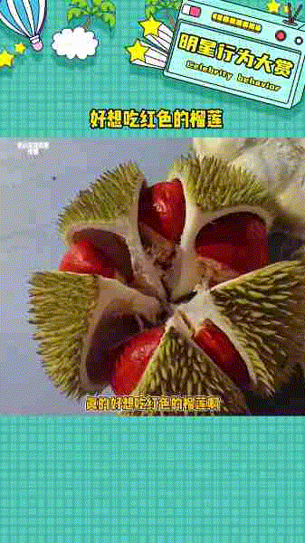 榴莲中的劳斯莱斯[灵光一闪]