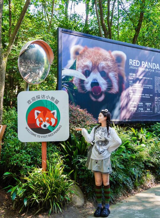 🐼成都大熊猫基地| 这样拍太好看啦（附攻略）
