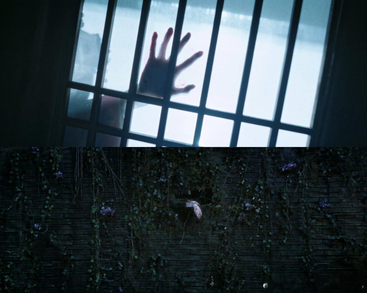 唐宫奇案剧宣DNA动了白鹿王星越四搭直接冲宫廷悬疑，一文一武探案太戳我了！佩仪大