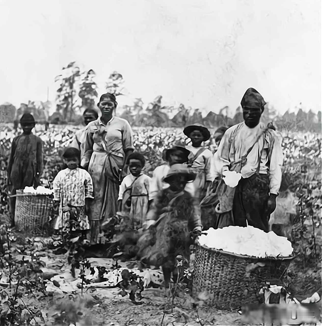 棉田里的枪声，石油桶上的炸弹，稀土矿下的算盘

十九世纪英国人大量使用棉布做衣服