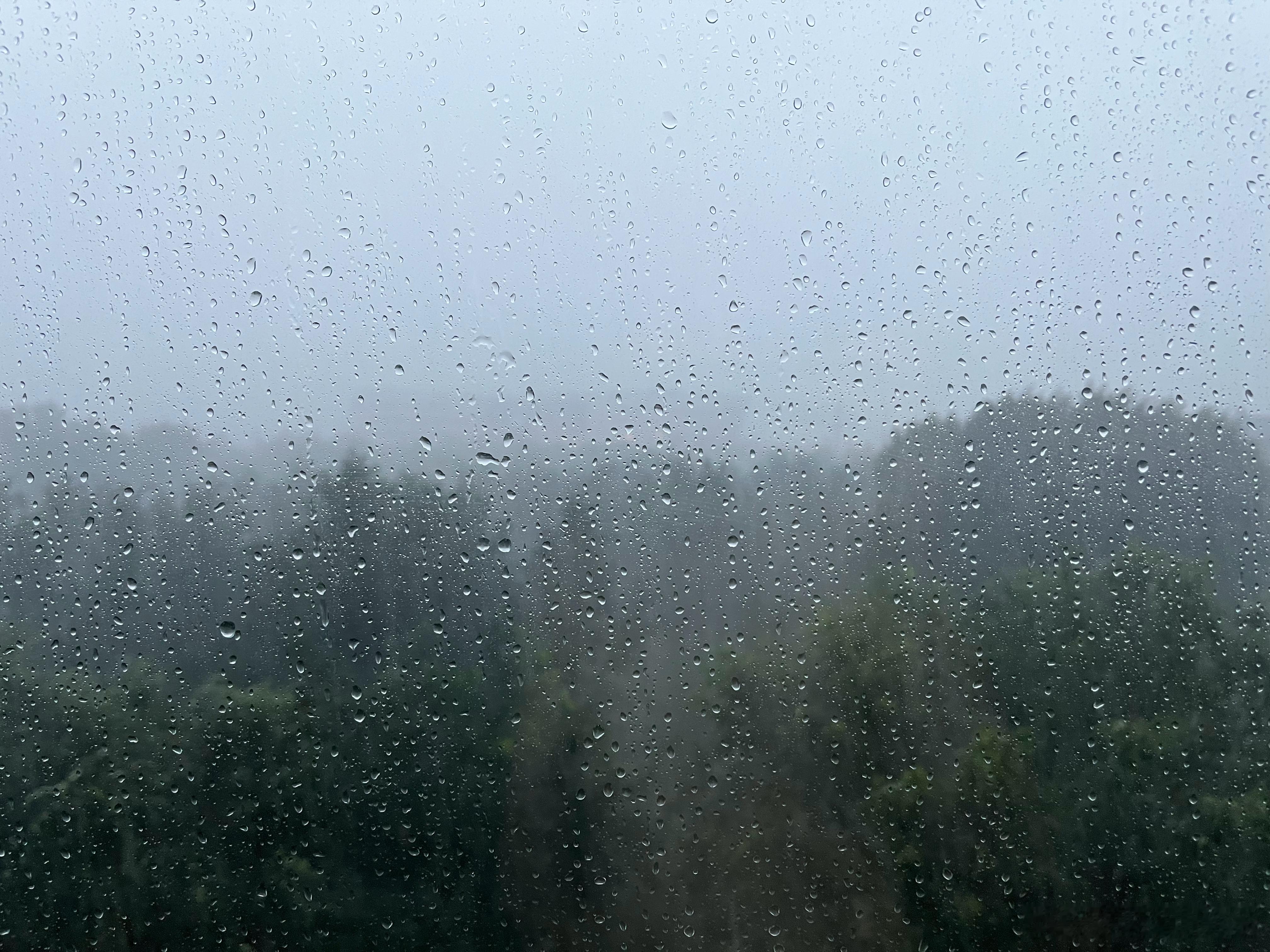 这个周末算是完蛋[允悲]雨大到什么程度呢？现在让我出门我都感觉害怕，还有电闪雷鸣