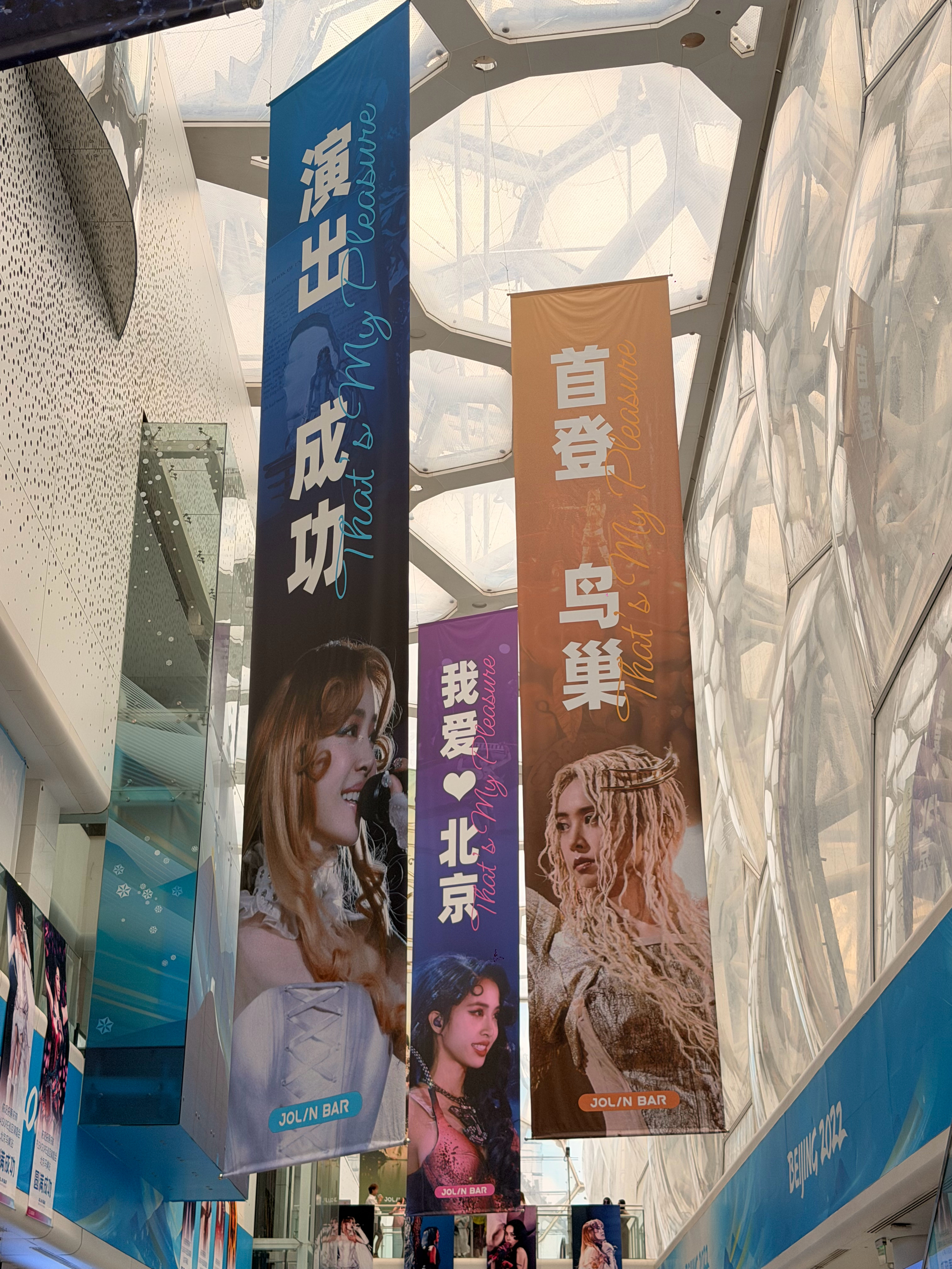 哪朵玫瑰没有京籍鸟巢我们来了好棒的展蔡依林主题特展蔡依林鸟巢演唱会 北京·水立方