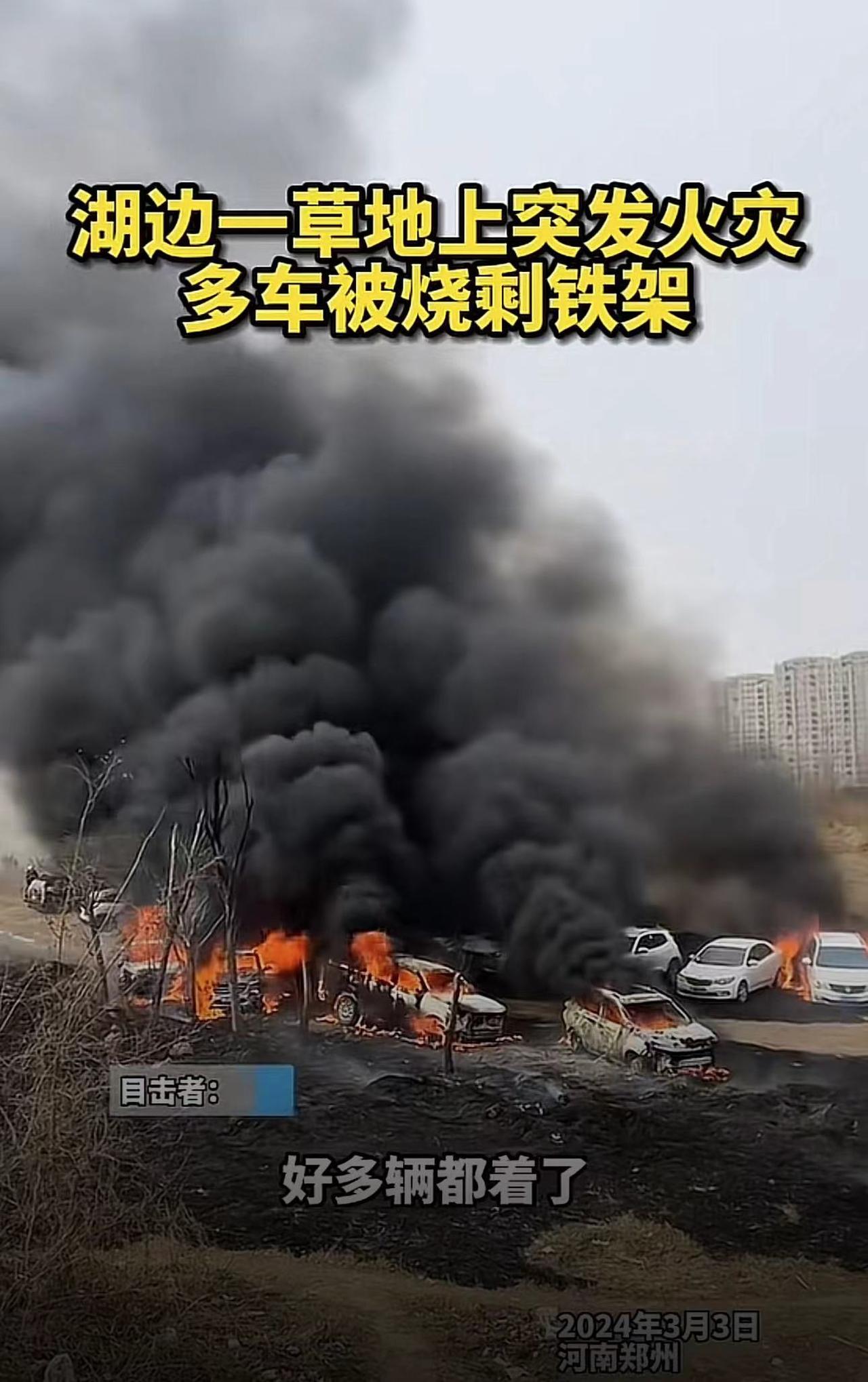 保险哭死！河南一草地上突发火灾，多车被烧只剩铁架
3月3日下午，有多位河南的网友
