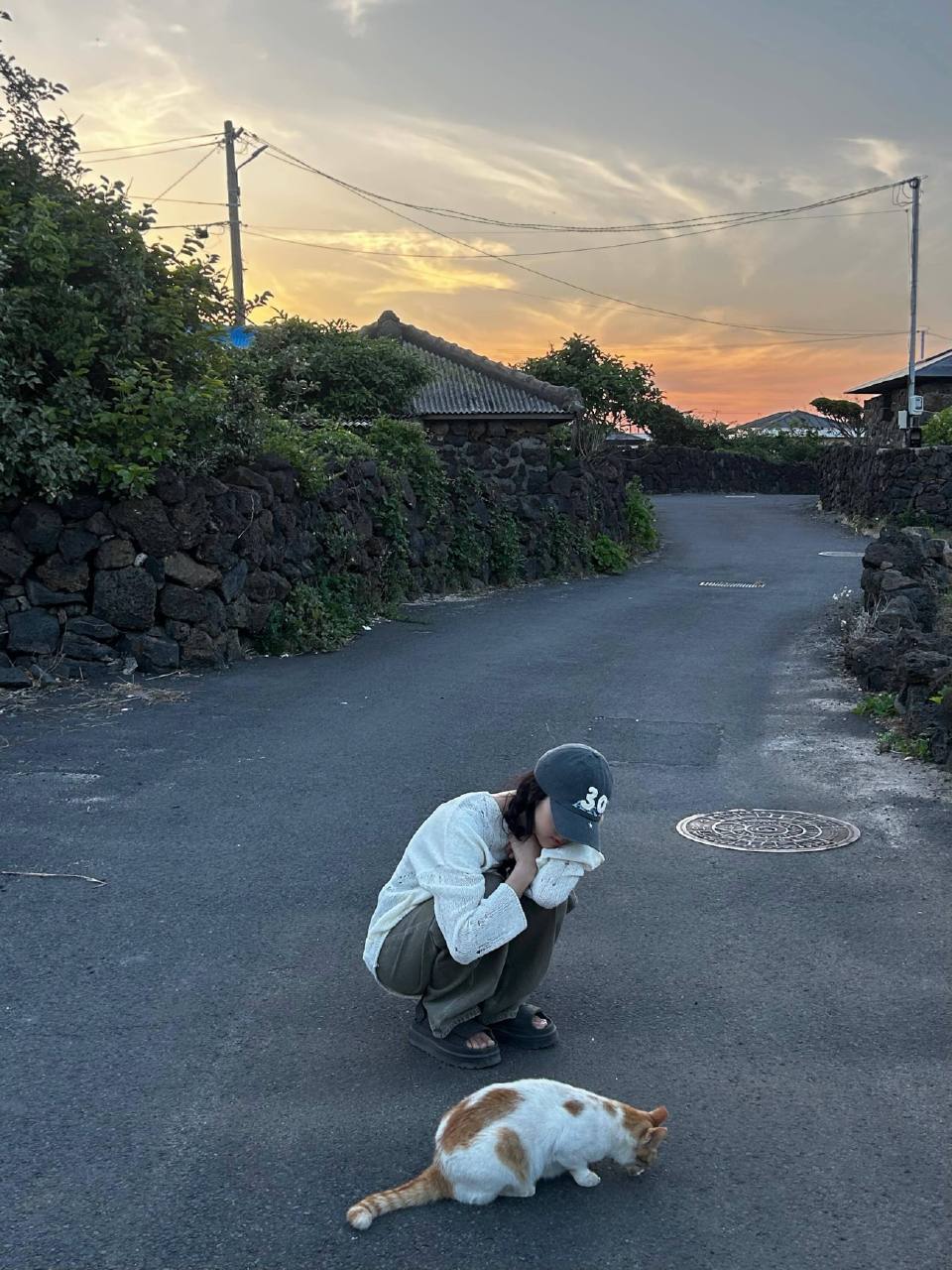 金智秀 和小猫🐈🫧“梦想是和喜欢的人一起养小猫然后凌晨散步”｜kimjiso