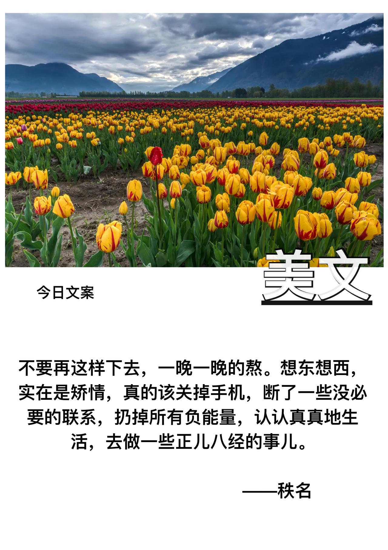 不要再这样下去

一晚一晚的熬

想东想西

实在是矫情

真的该关掉手机

断