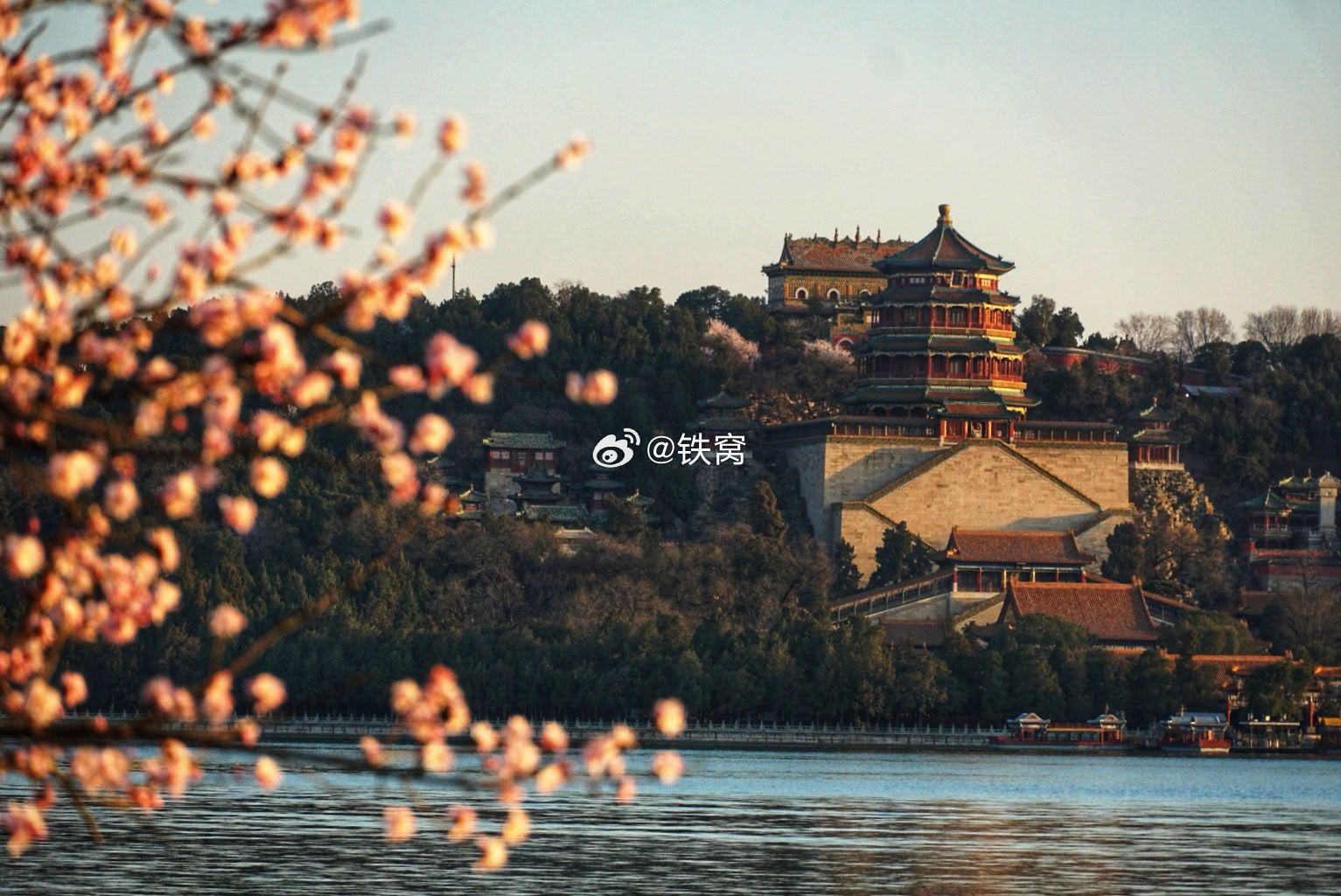颐和园西堤桃花开了摄影
