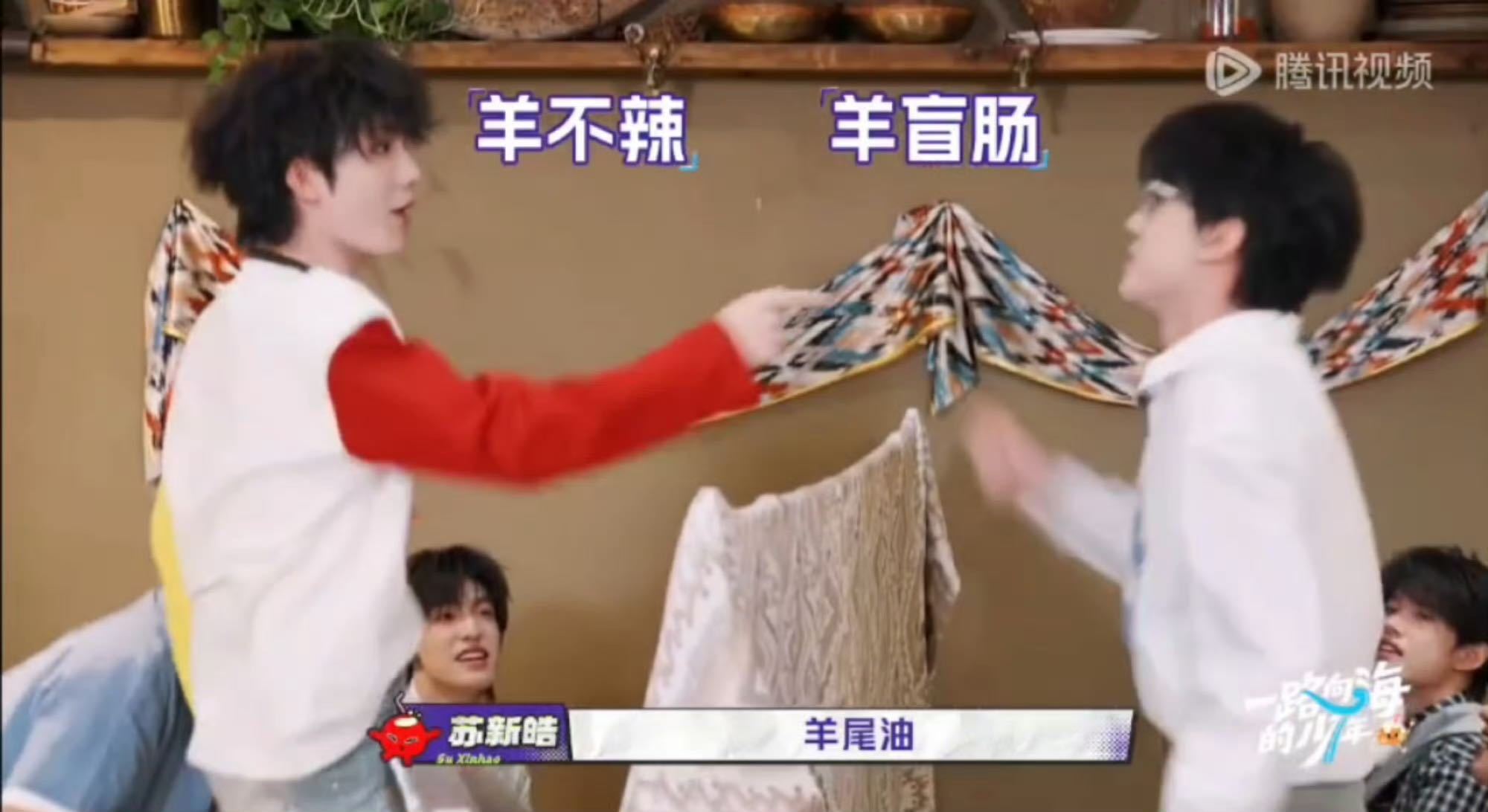 苏新皓记了半天就记住朱志鑫名字苏新皓把朱志鑫名字记成左航一路向海的少年全员用羊部