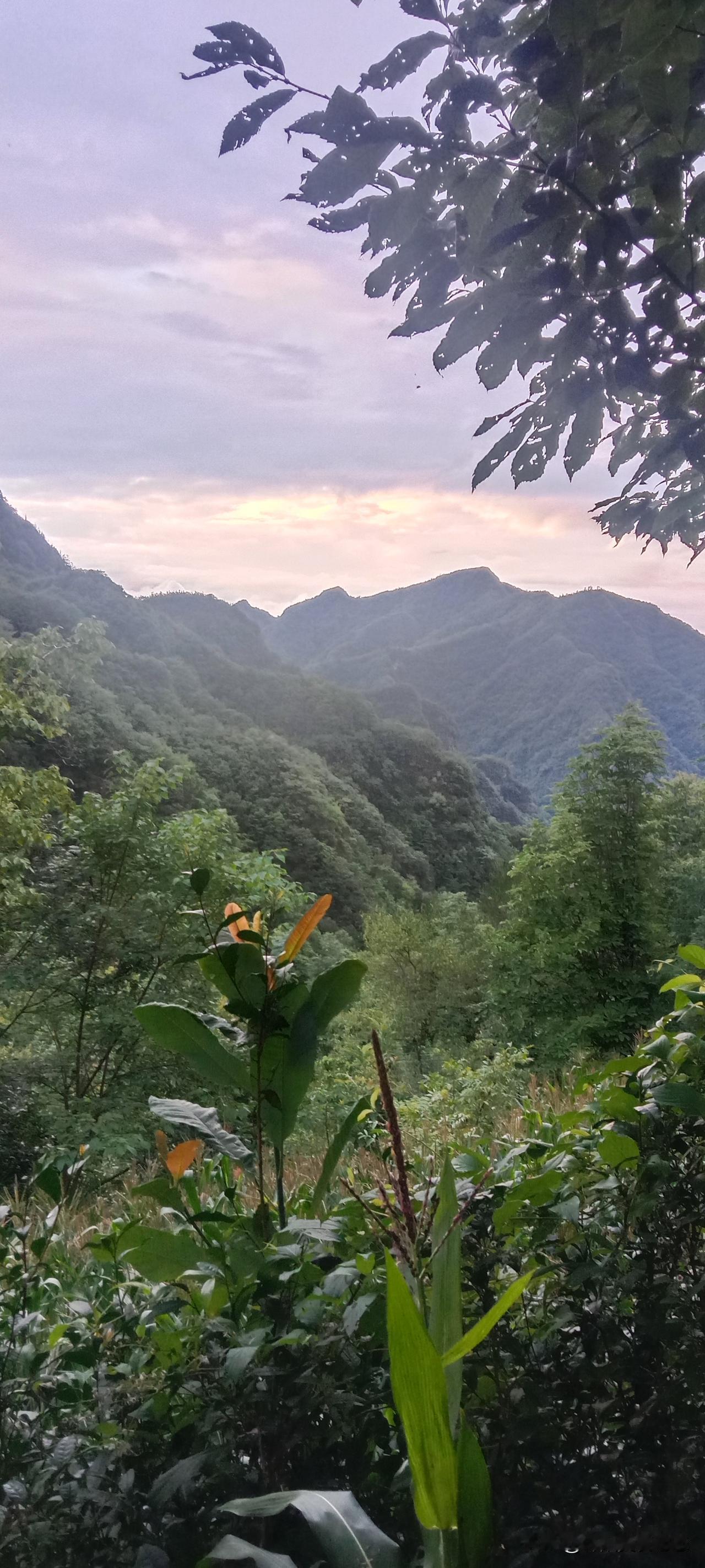 晒图笔记大赛 “青山依旧在，几度夕阳红”，这句诗简直绝了，每次念起来都感觉有股沧