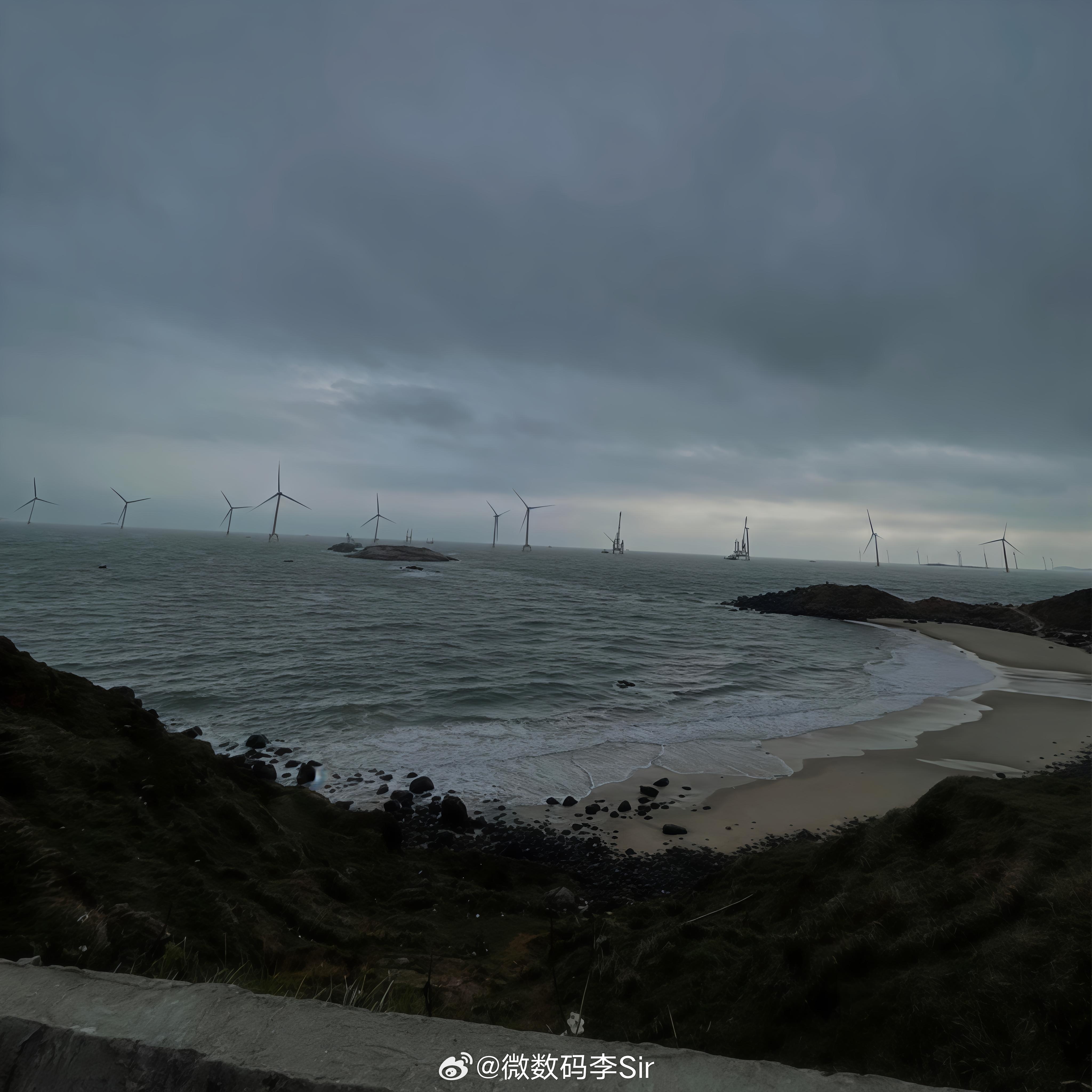 我与我周旋，宁做我 