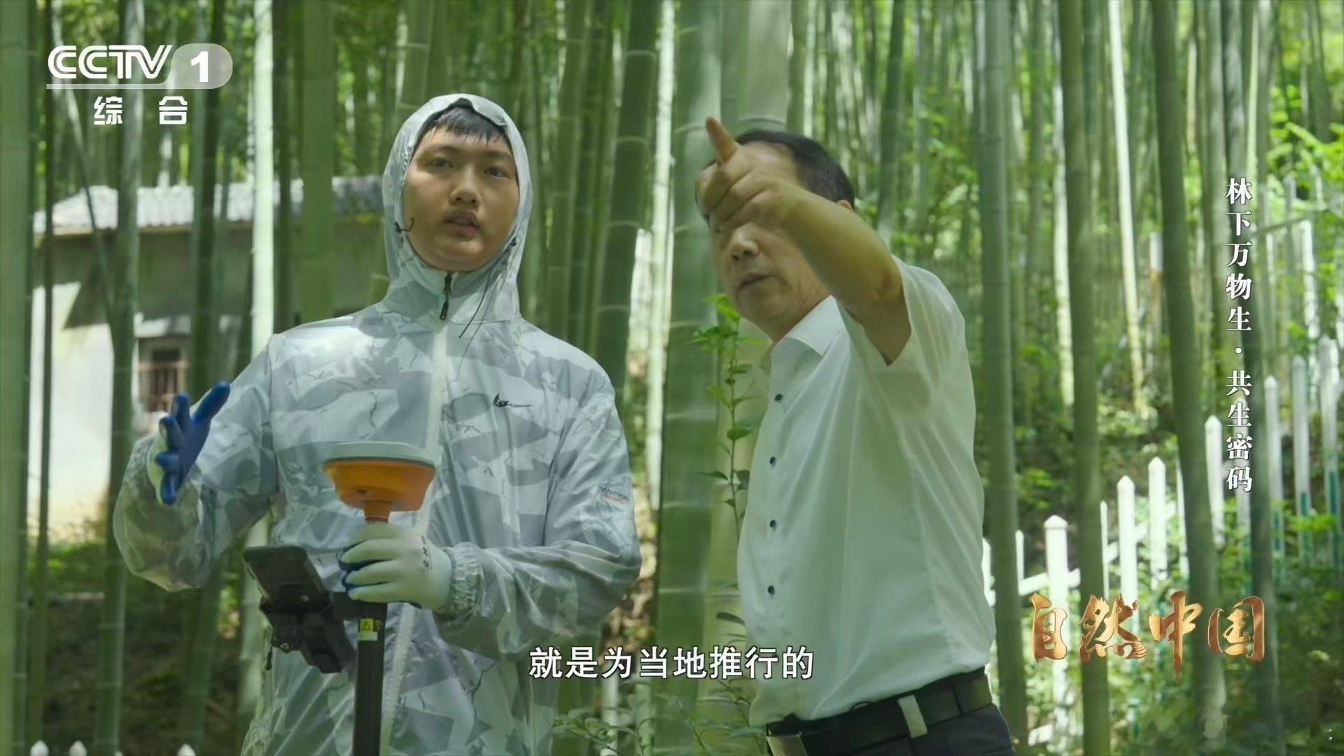 浙江这个县靠卖空气年入千万竹林空气也是真金白银 这一机制让生态保护变得有利可图，