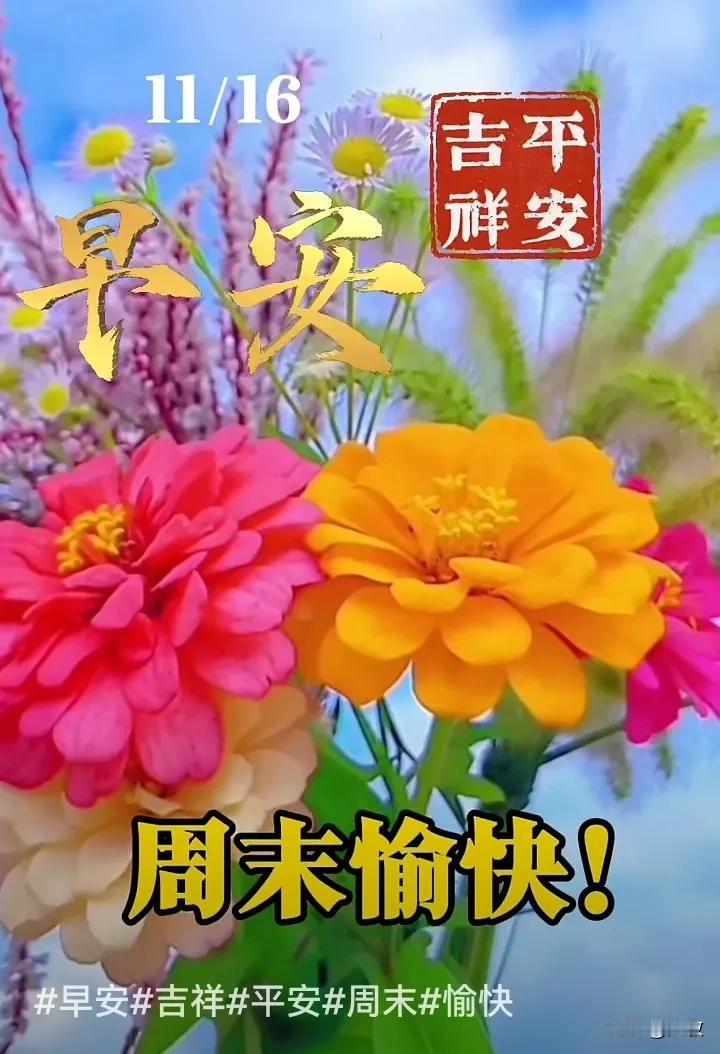 今天是11月16日星期六，早安你好！
心放松，事无争，多大岁数都年轻。
心态好，