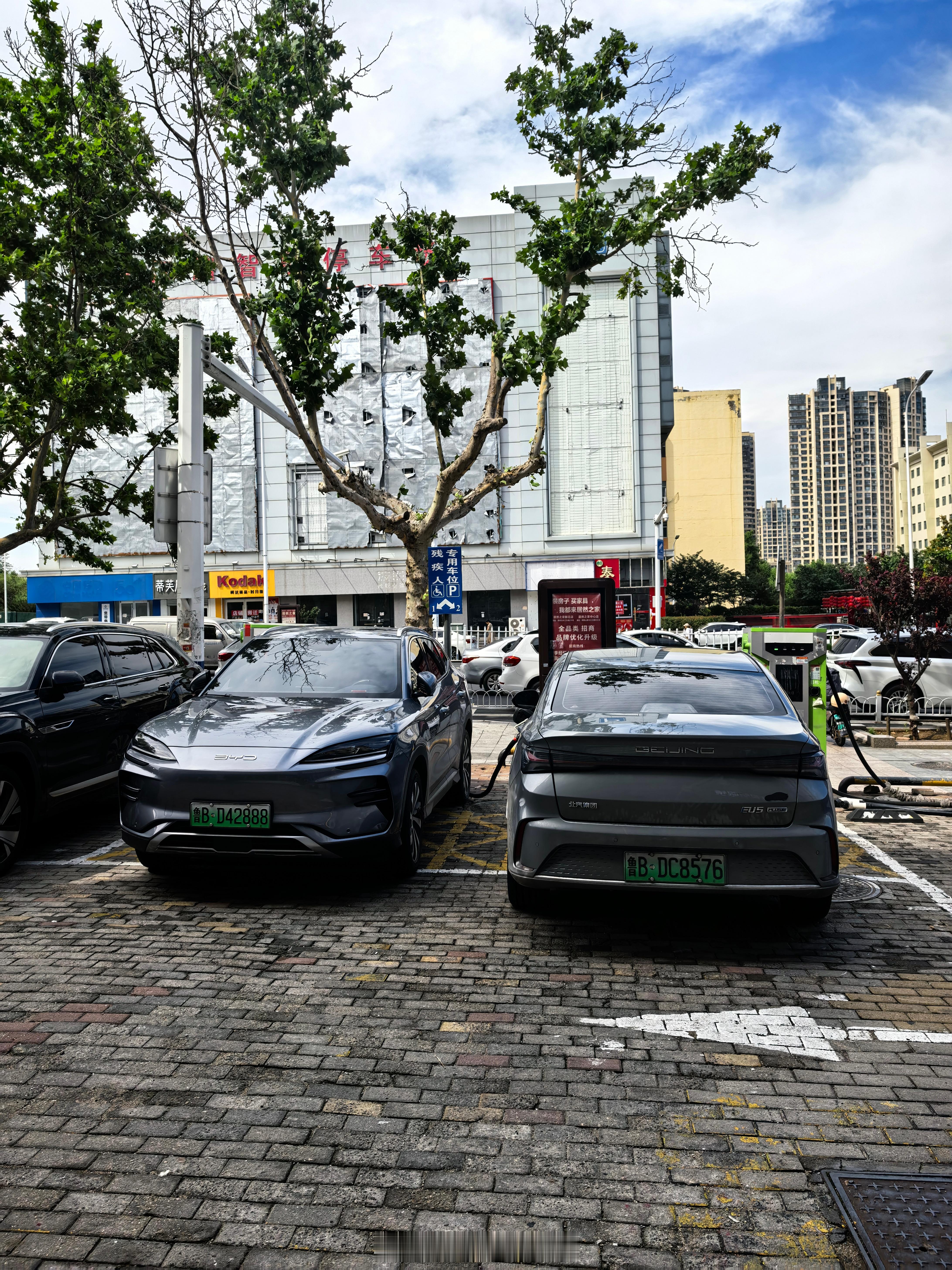 你说这两位车主是残疾人？还是看不到后面的字呢？我与汽车的日常 ​​​