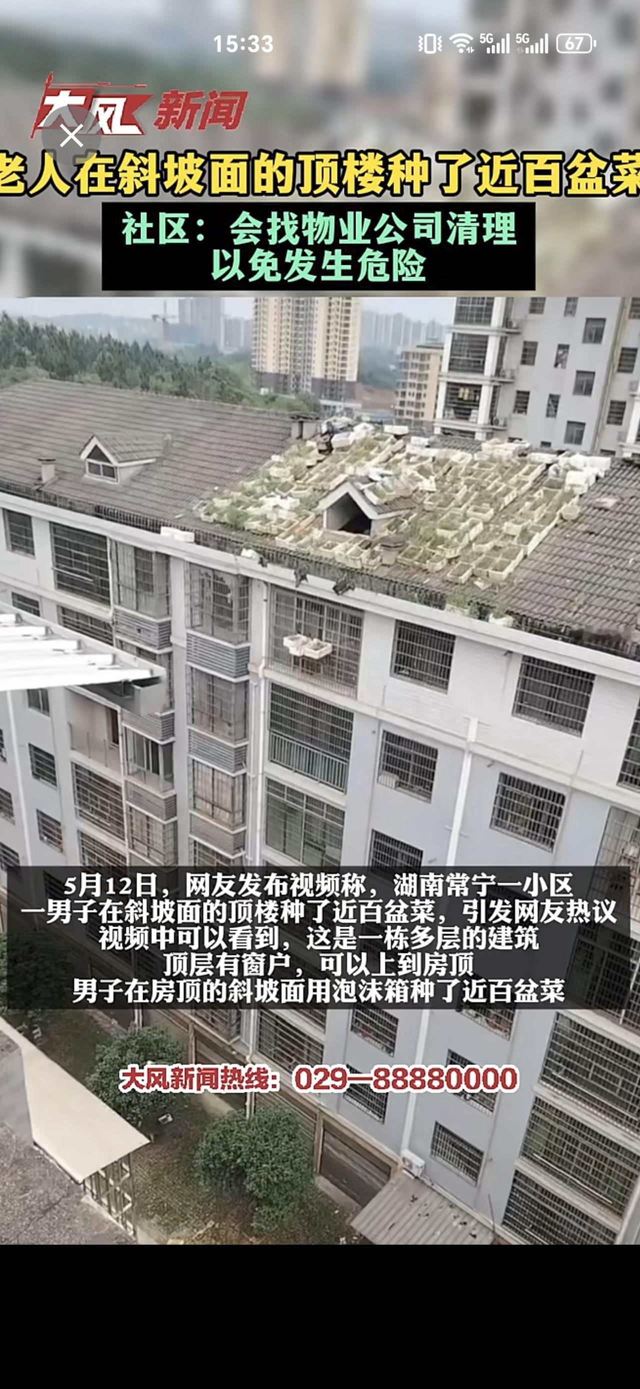 老人在斜坡面的顶楼种了近百盆菜，社区：会找物业公司清理，以免发生危险。