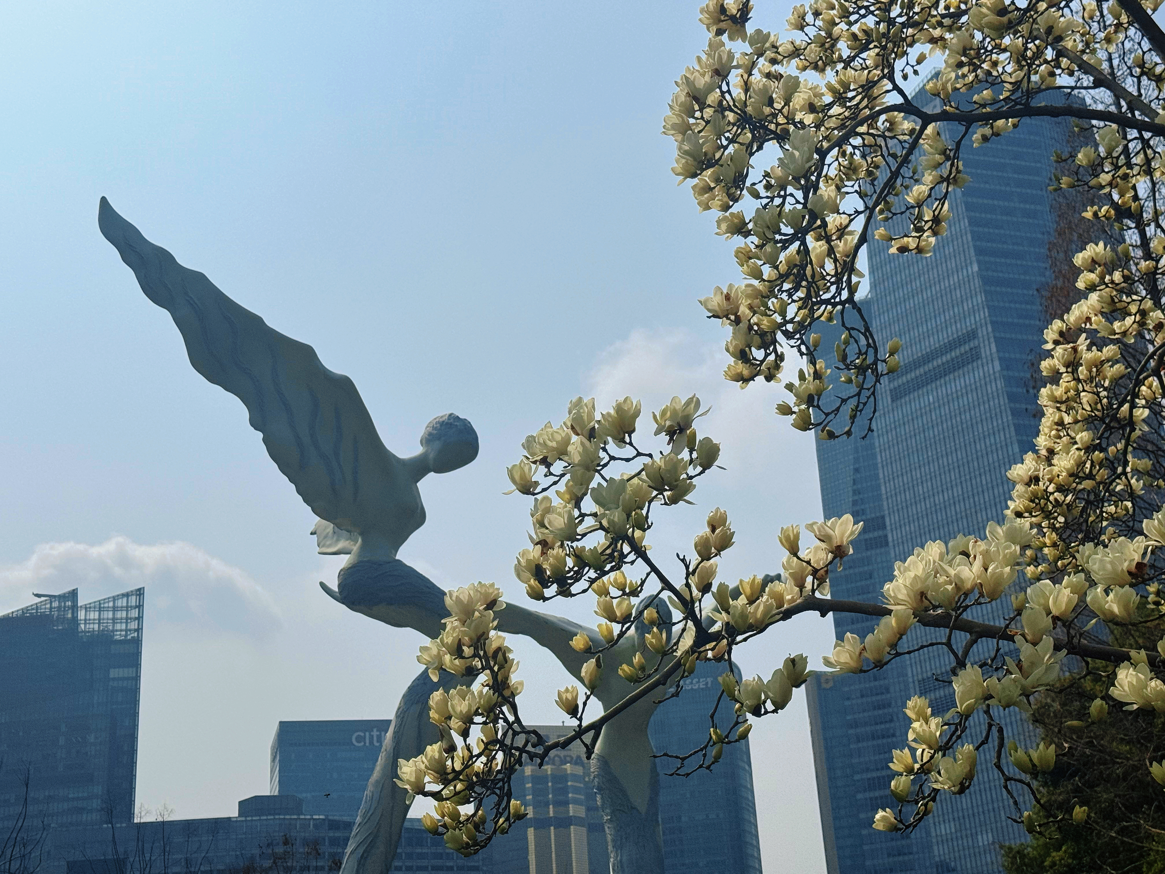 陆家嘴牛马的每年一拍 