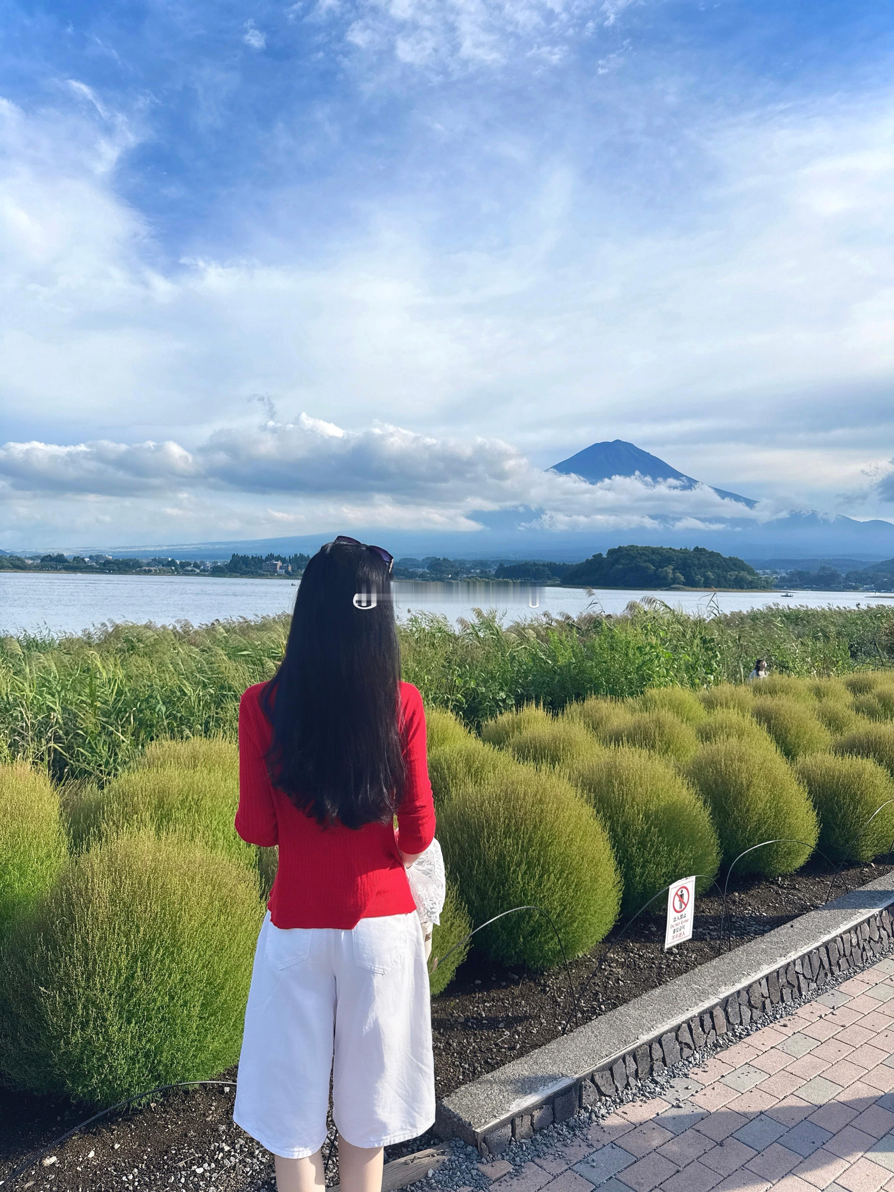 《富士山下》  ​​​