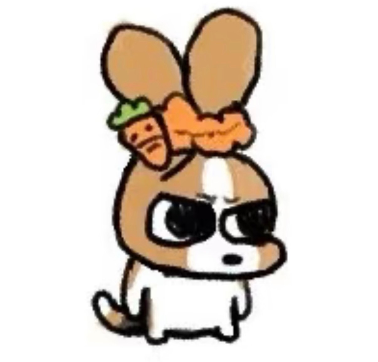 笑死我了 ​​​