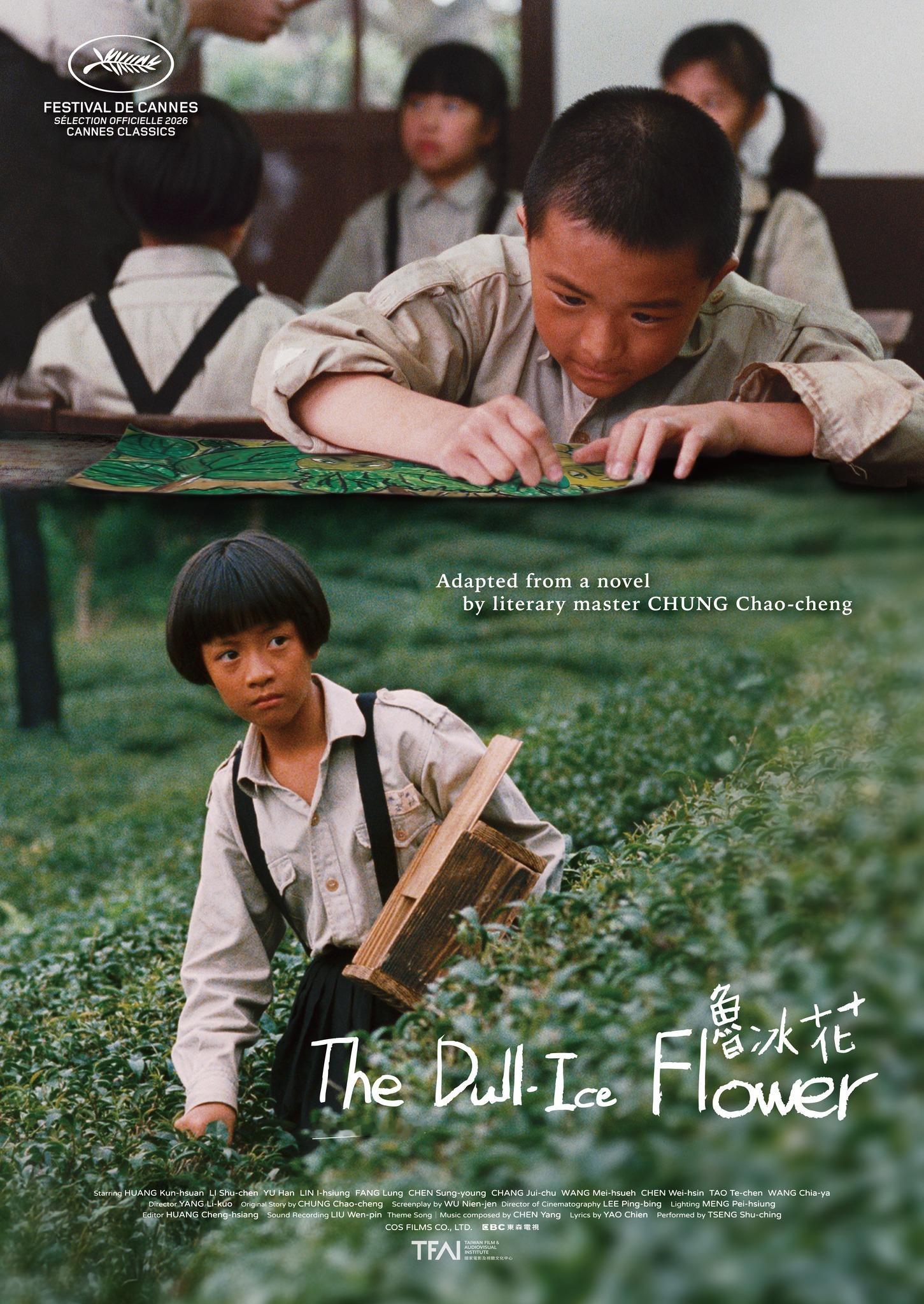 台湾经典电影《鲁冰花》入选戛纳电影节「经典单元」（Cannes Classics
