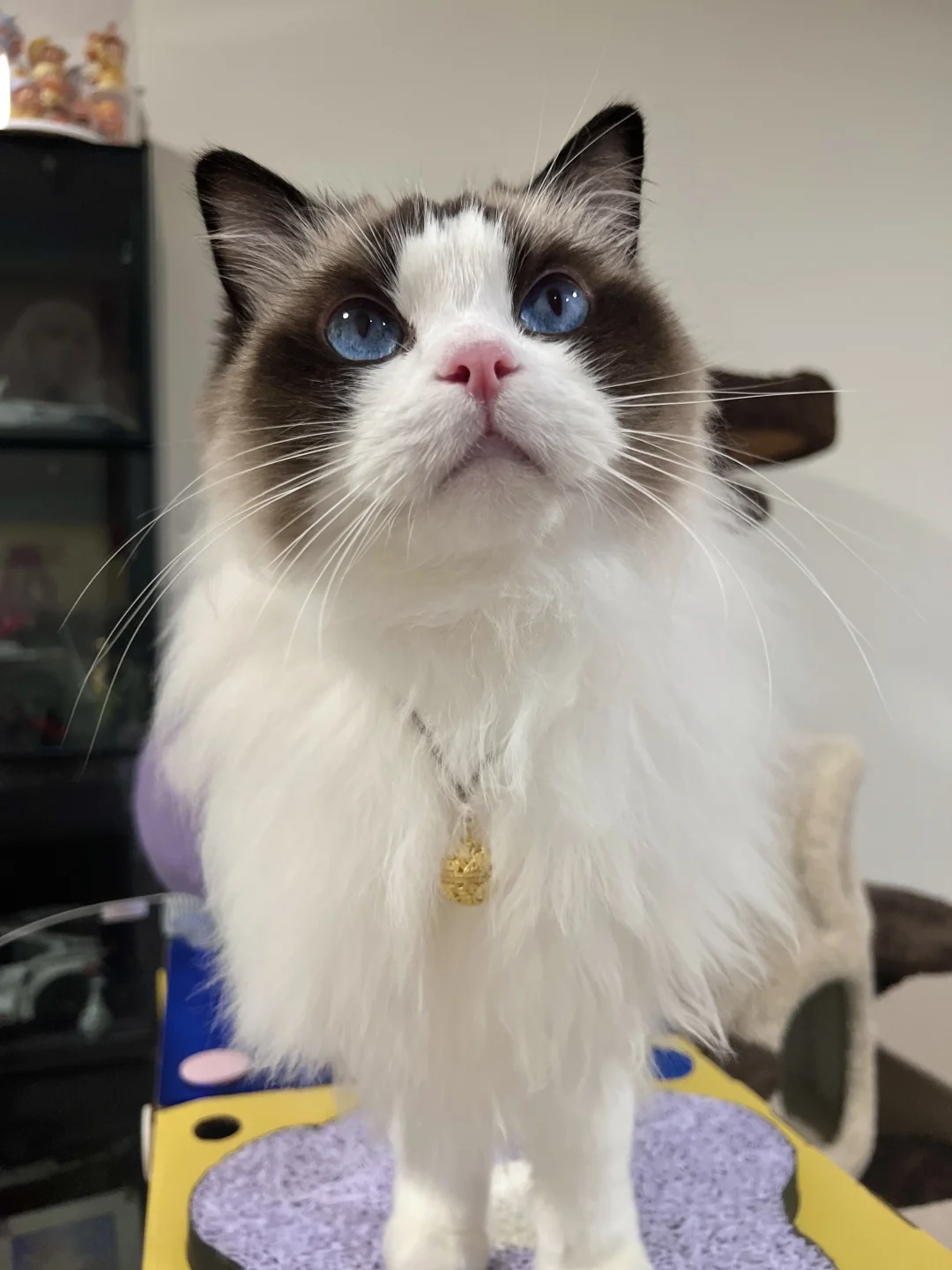 藕花深处是什么？