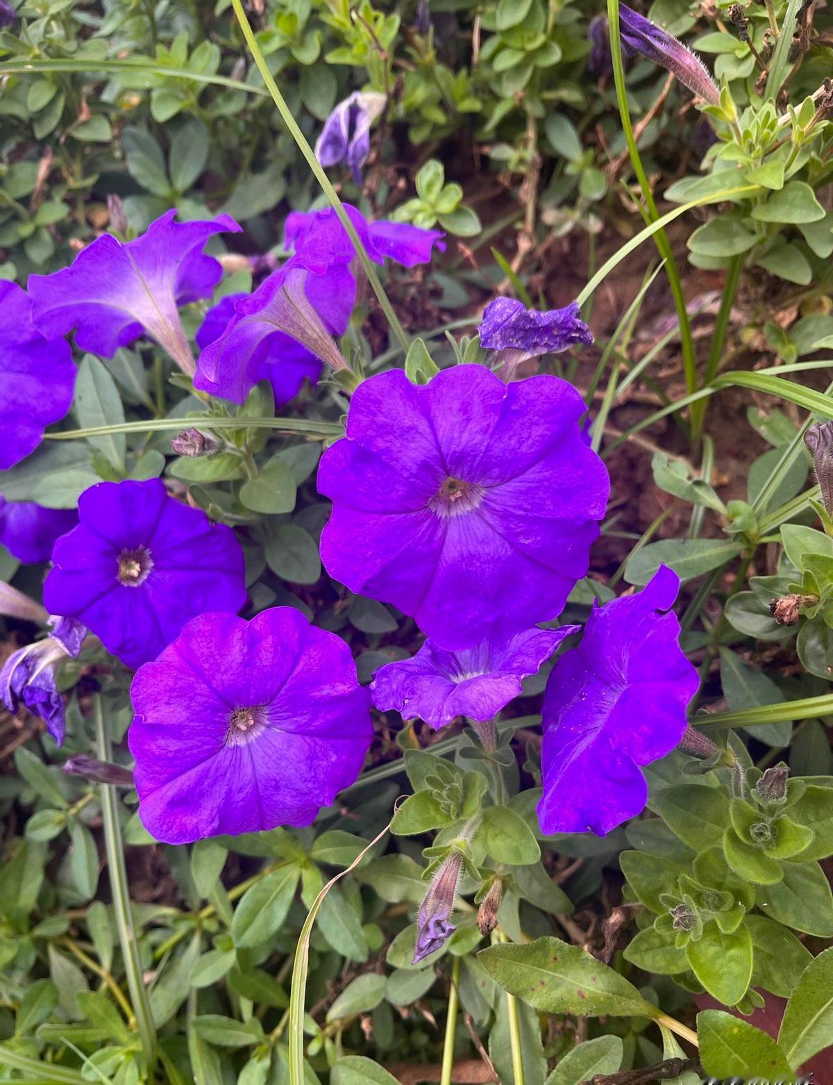 足浴店招保洁开价5000块，这数字看得人心头一热，可真到了店里转一圈，求职者却连