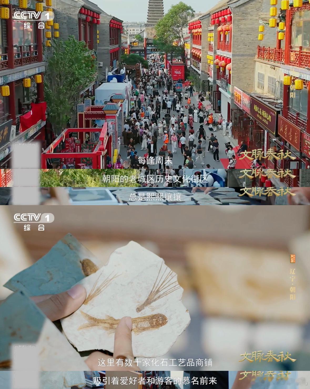 东北人砍价便宜了上亿元第一次见把化石当特产 这是真正的穿越级伴手礼，把亿万年的时