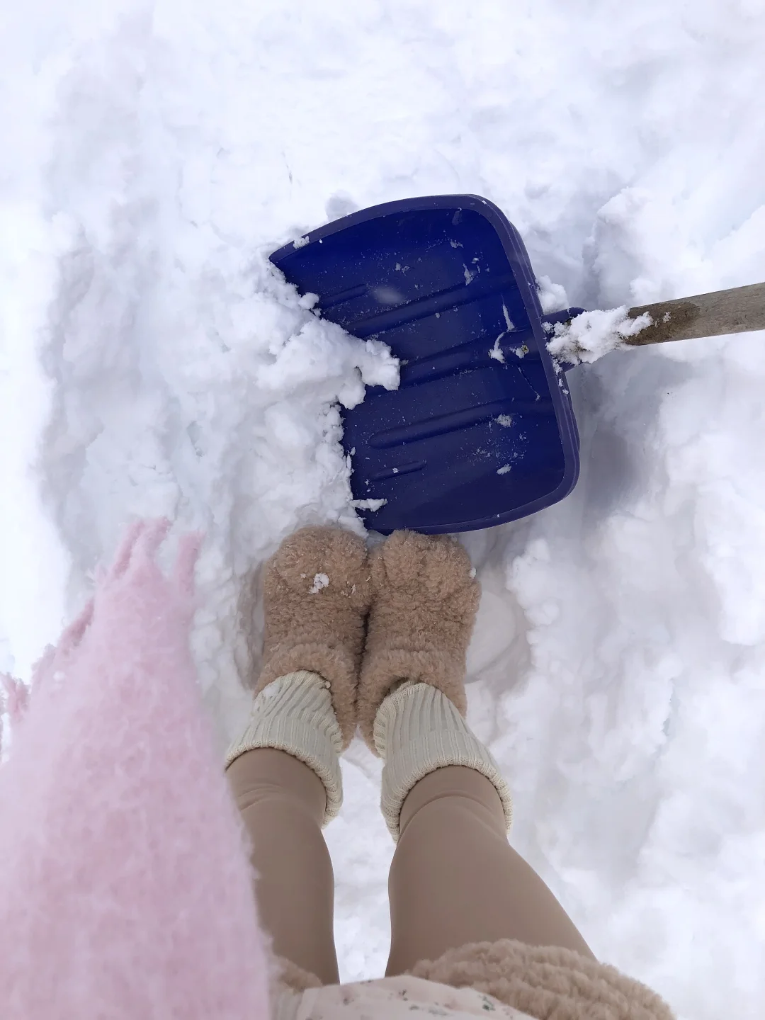 禾木的初雪❄️