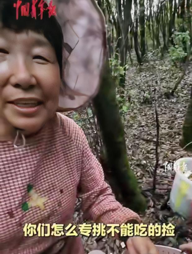 “笑不活了！”云南两名游客上山捡菌子，一篮子全是毒菌，热心阿姨全部扔掉还亲自带路