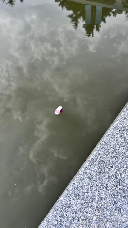 嗯……这个故事可以出个绘本？