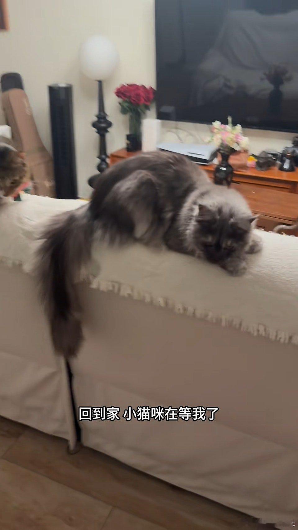 現年30歲的TVB藝人劉頌鵬曾出演TVB劇集《愛回家之開心速遞》、《巨塔之後》、