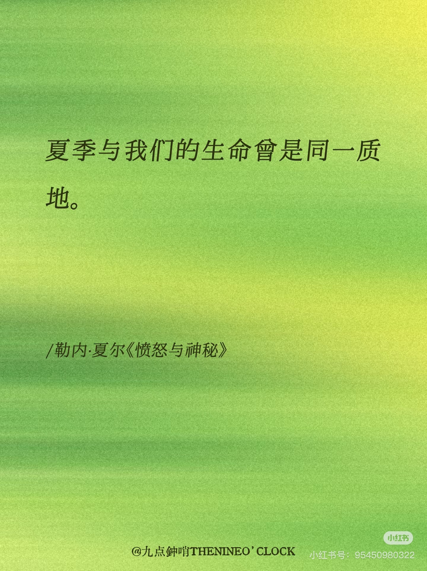“夏季与我们的生命曾是同一质地”每一粒葡萄都能背诵夏日时光的名字/安德拉德《静物