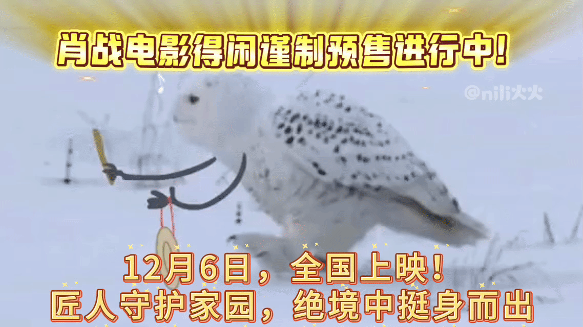 买好得闲谨制6号的预售票了激动！！快去看看你们那儿的，你买到没？准备几号去？ 