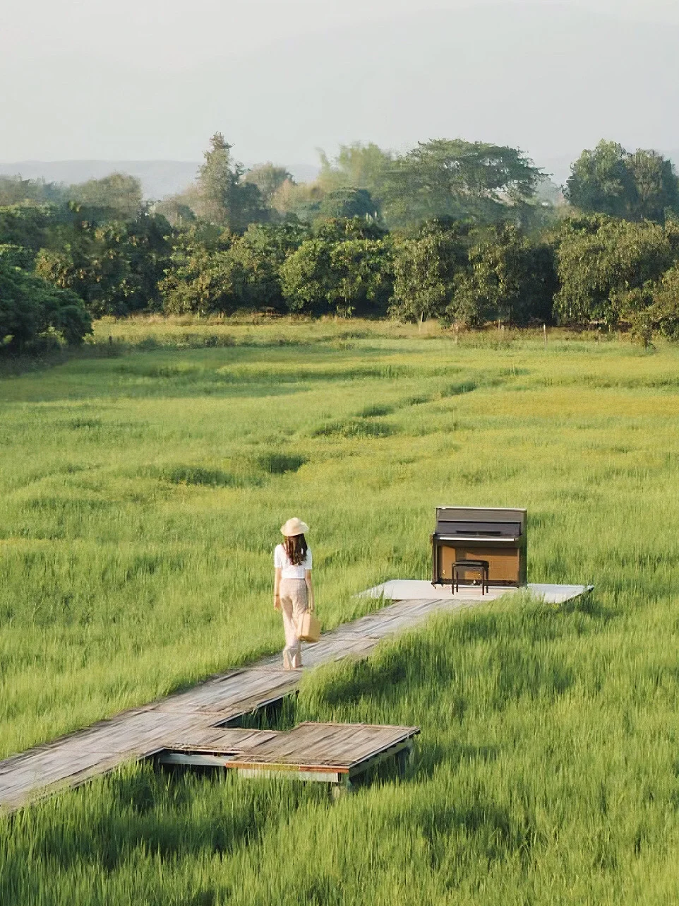 泰国清迈🌾特色稻田咖啡厅 在稻香中弹钢琴